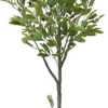 Rośliny Ozdobne-CN-209 Drzewko oliwne w doniczce Florino 116