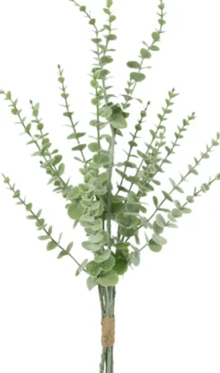 Rośliny Ozdobne-CN-163 Gałązka eukaliptusa Florino 132