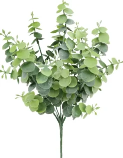 Rośliny Ozdobne-CN-163 Gałązka eukaliptusa Florino 132
