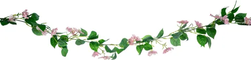 Rośliny Ozdobne-CN-159 Girlanda Magnolia 21