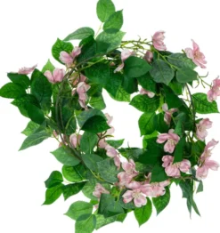 Rośliny Ozdobne-CN-159 Girlanda Magnolia 21