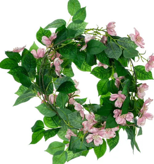 Rośliny Ozdobne-CN-159 Girlanda Magnolia 21
