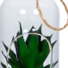 Rośliny Ozdobne-CN-33 Ozdoba Tasso 40
