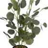 Rośliny Ozdobne-CN-218 Roślina Florino 120
