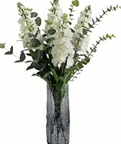 Rośliny Ozdobne-CN-209 Roślina Florino 102