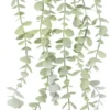 Rośliny Ozdobne-CN-227 Roślina Florino 138