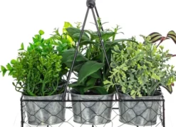 Rośliny Ozdobne-CN-163 Sztuczne rośliny Florino 85