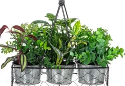 Rośliny Ozdobne-CN-163 Sztuczne rośliny Florino 85