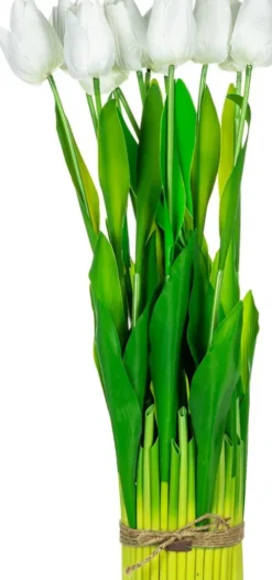 Rośliny Ozdobne-CN-163 Tulipany Florino 95 (12szt)