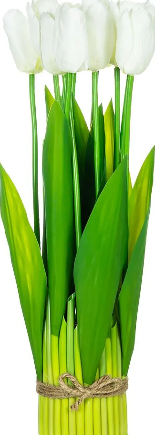 Rośliny Ozdobne-CN-163 Tulipany Florino 96 (12szt.)
